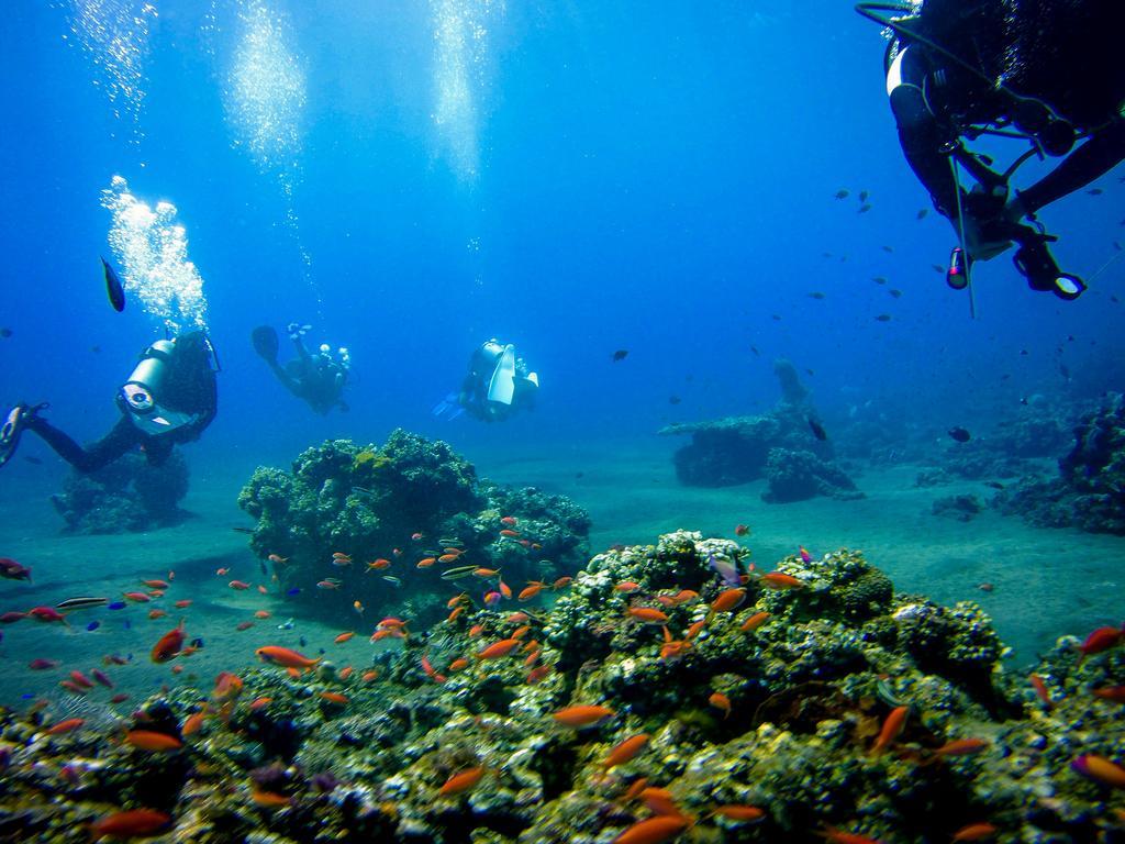 Villa Coral Pemuteran Dış mekan fotoğraf