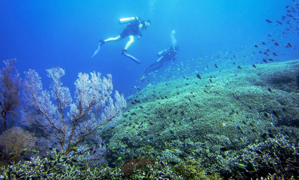 Villa Coral Pemuteran Dış mekan fotoğraf