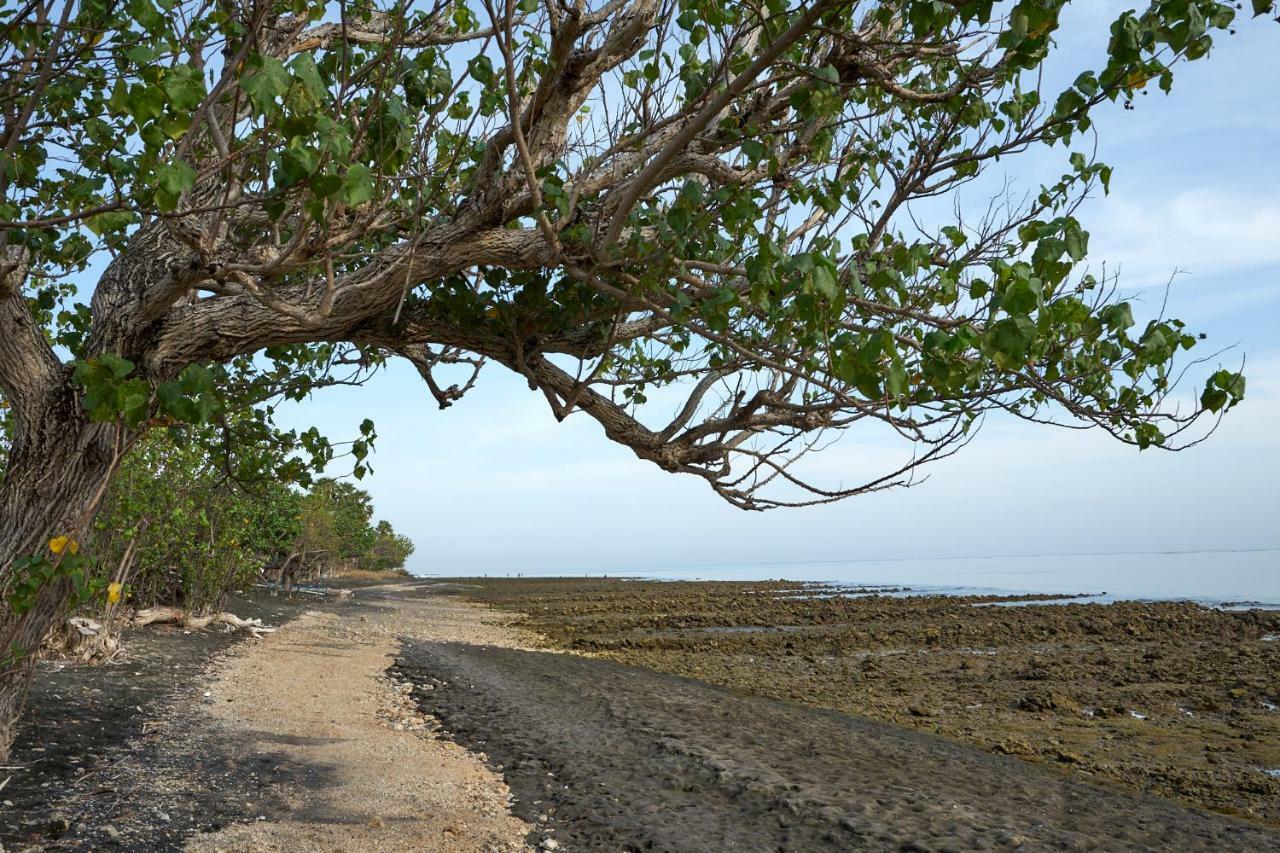 Villa Coral Pemuteran Dış mekan fotoğraf